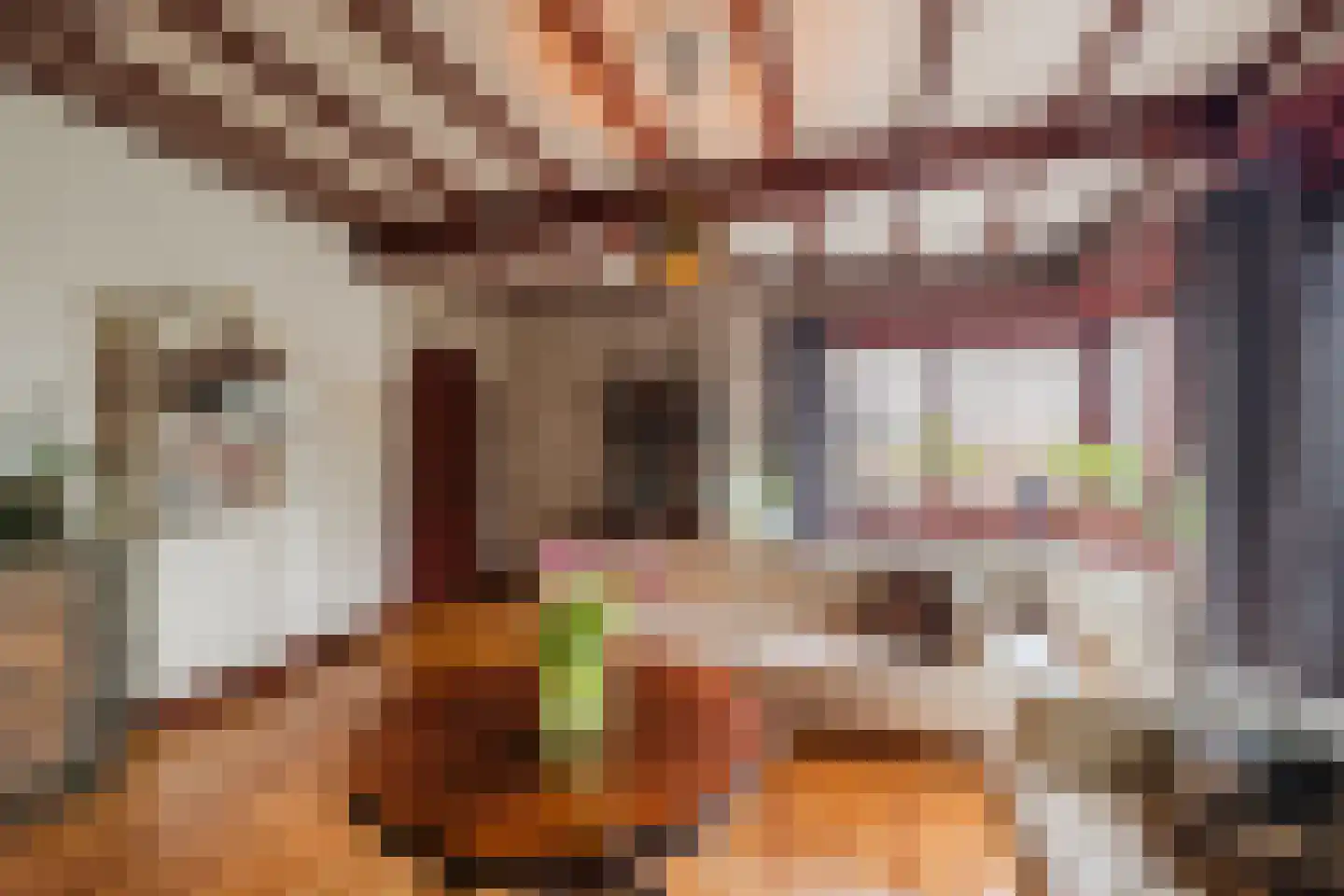 Westeinde 4 Nieuwleusen thumbnail 10