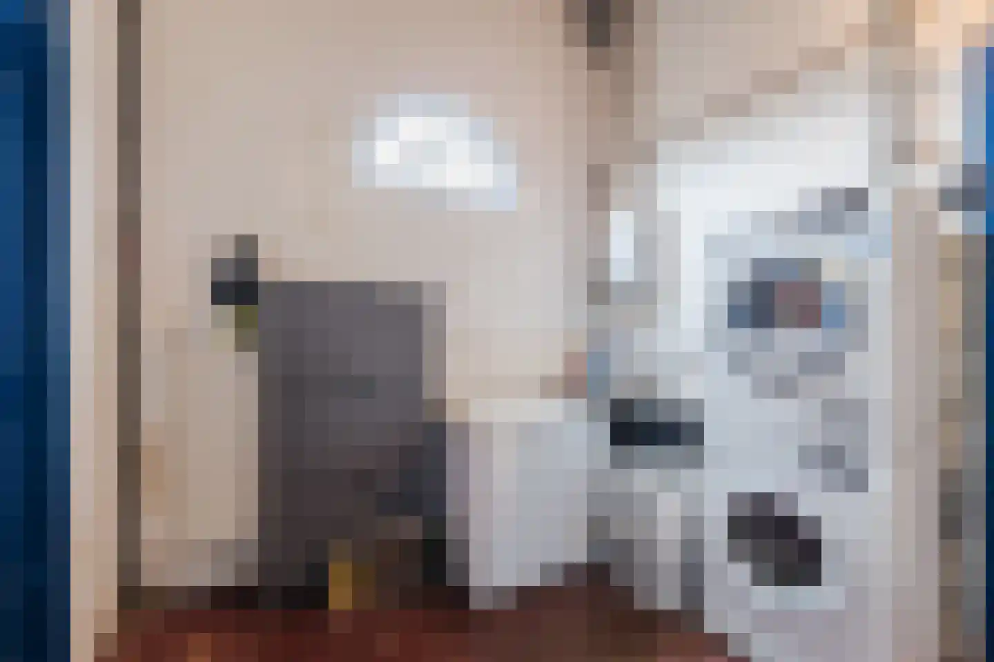 Westeinde 4 Nieuwleusen thumbnail 18