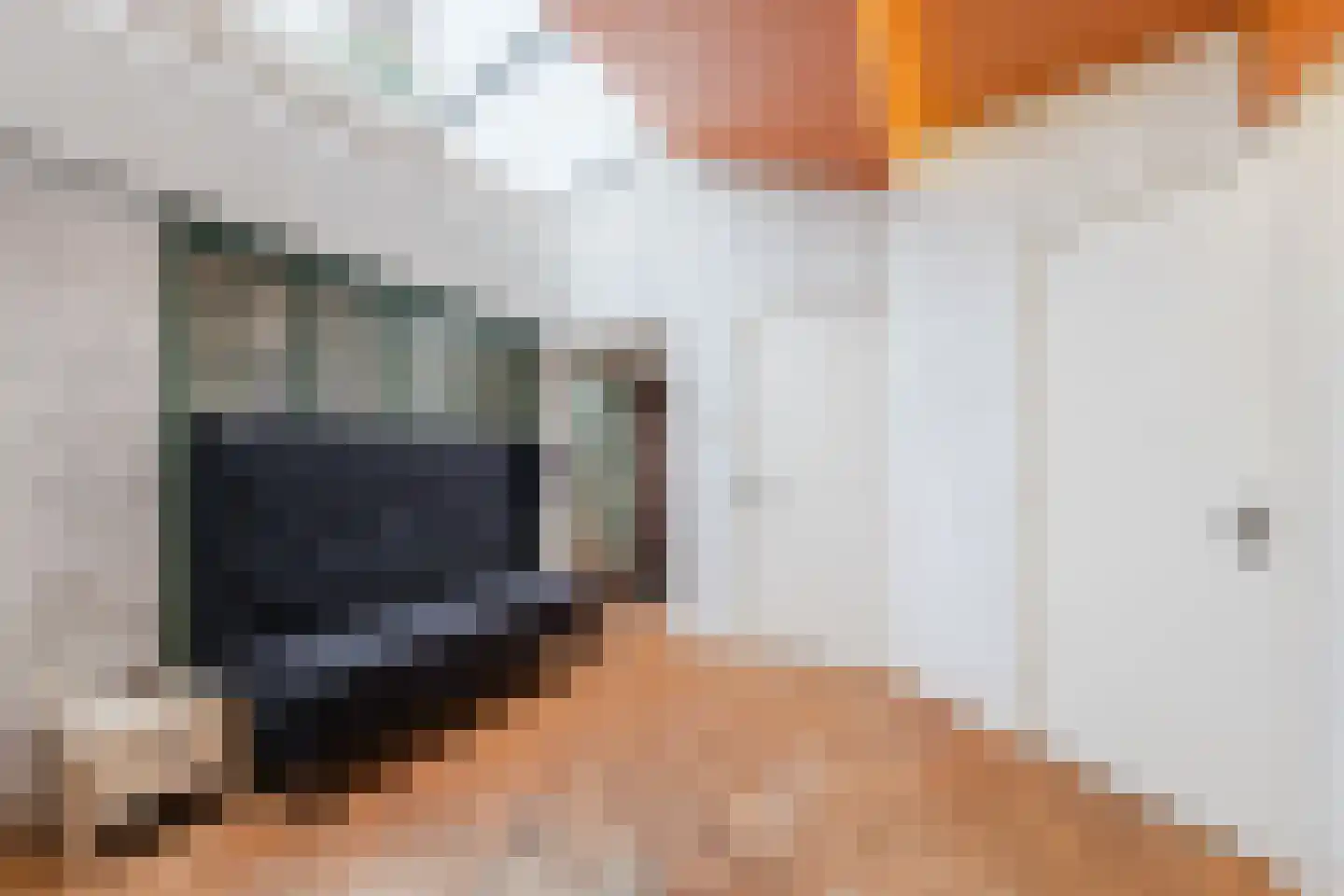 Westeinde 4 Nieuwleusen thumbnail 22