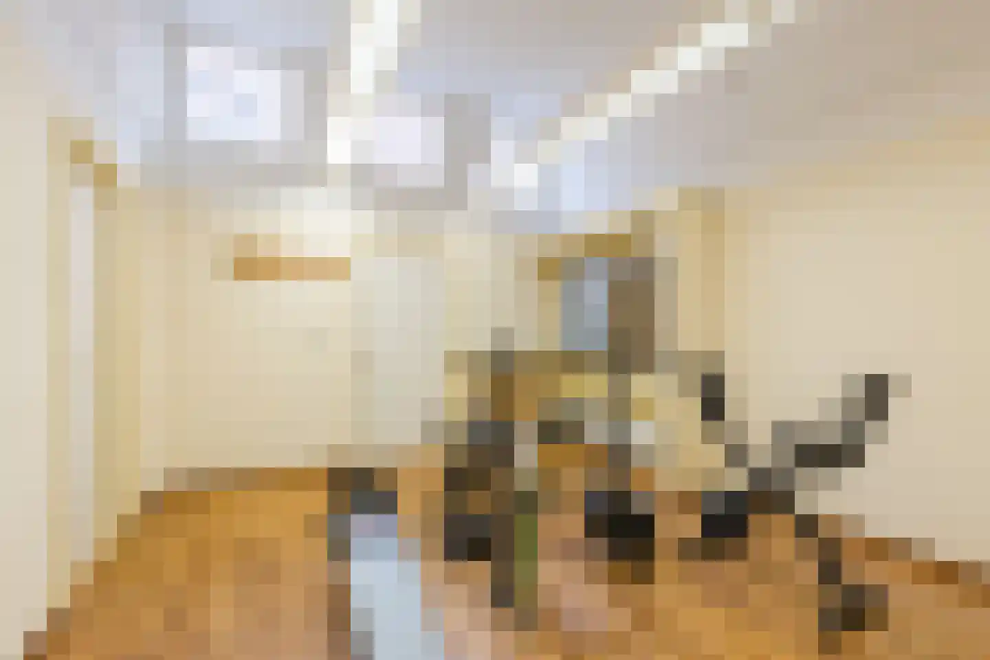 Westeinde 4 Nieuwleusen thumbnail 24