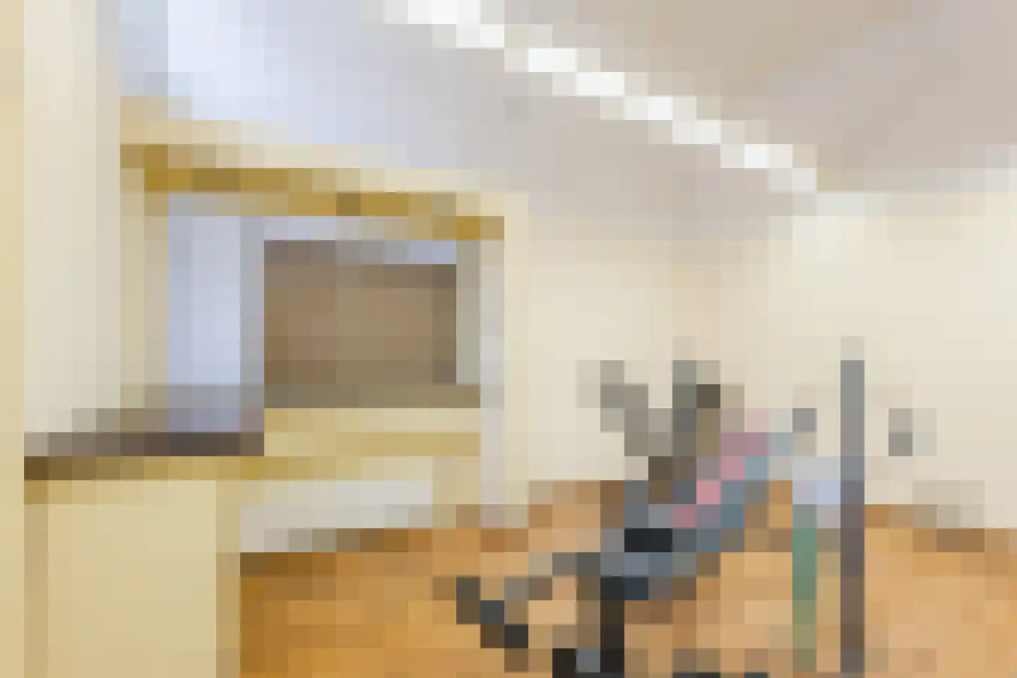 Westeinde 4 Nieuwleusen thumbnail 25