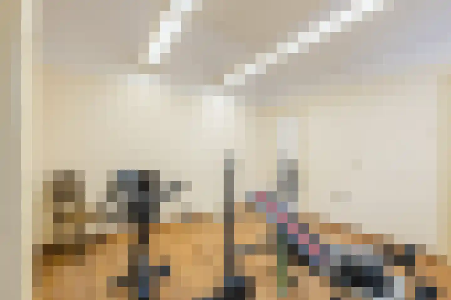 Westeinde 4 Nieuwleusen thumbnail 26