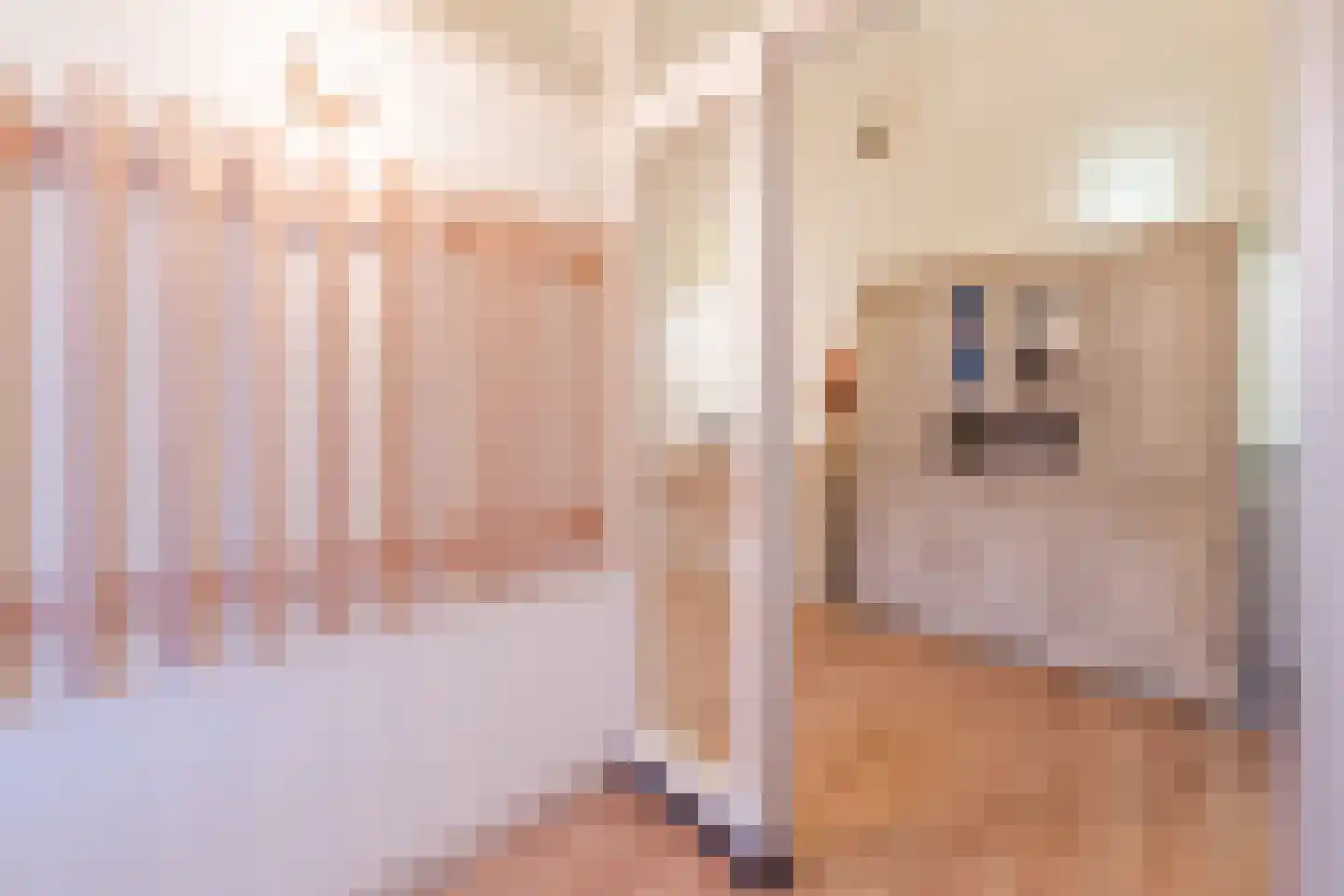 Westeinde 4 Nieuwleusen thumbnail 27