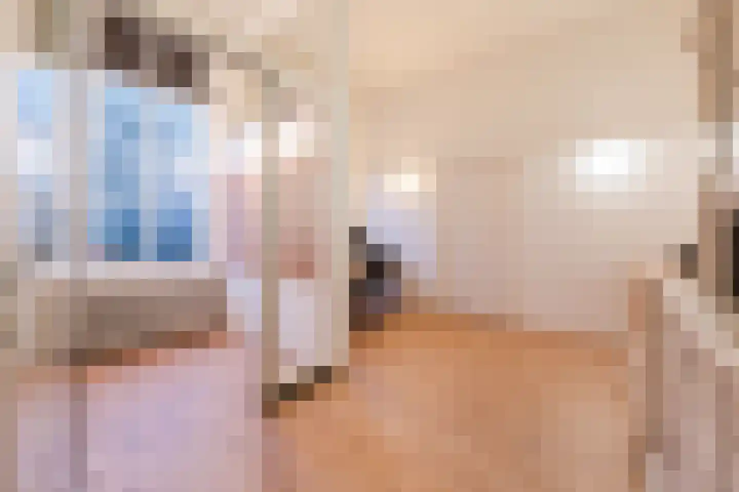 Westeinde 4 Nieuwleusen thumbnail 28