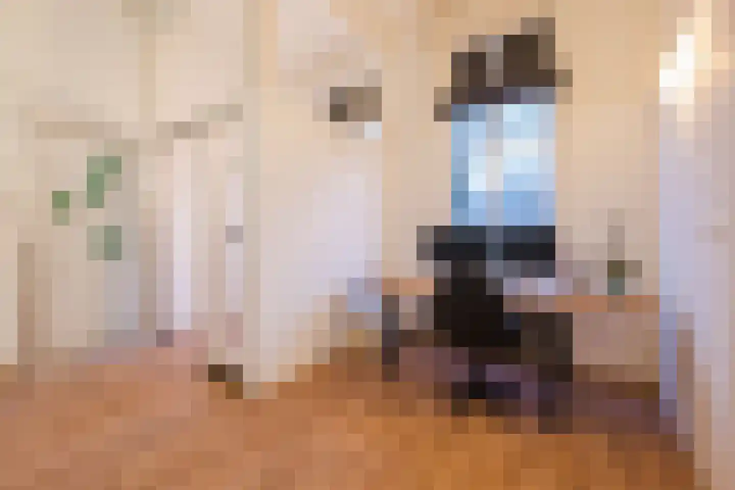 Westeinde 4 Nieuwleusen thumbnail 29
