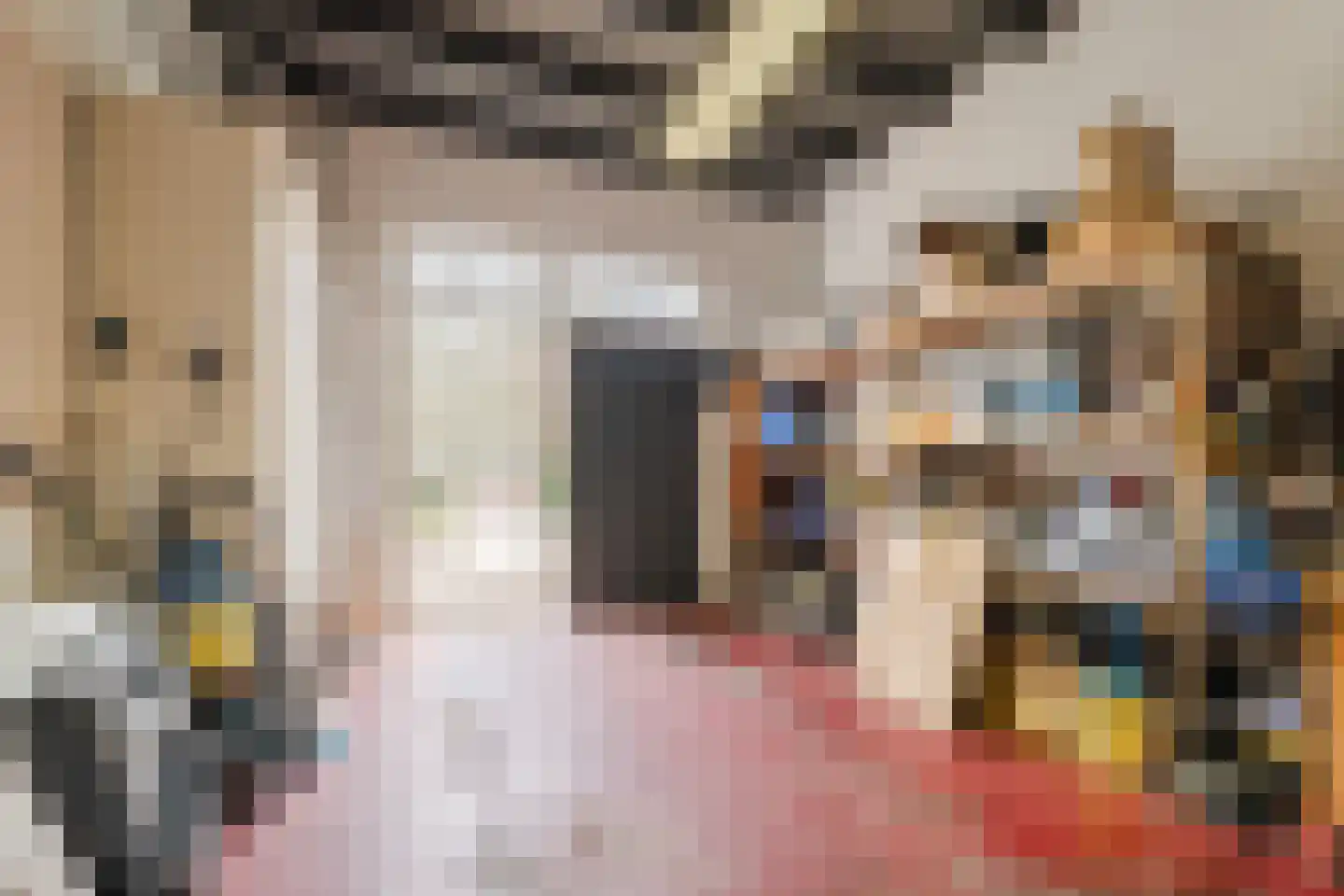 Westeinde 4 Nieuwleusen thumbnail 30
