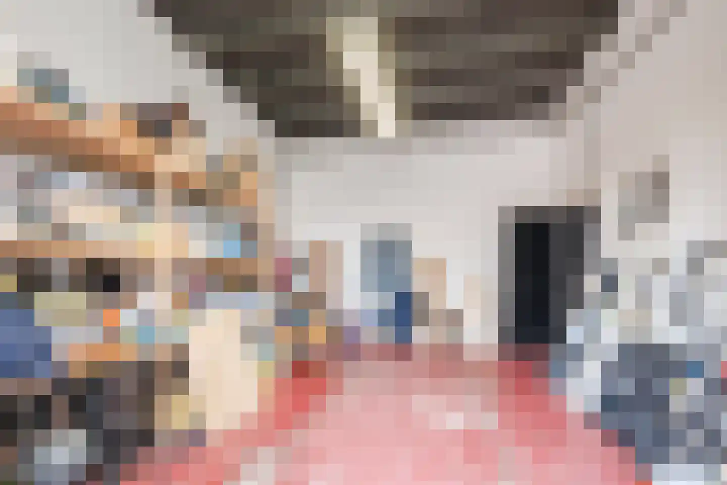 Westeinde 4 Nieuwleusen thumbnail 31