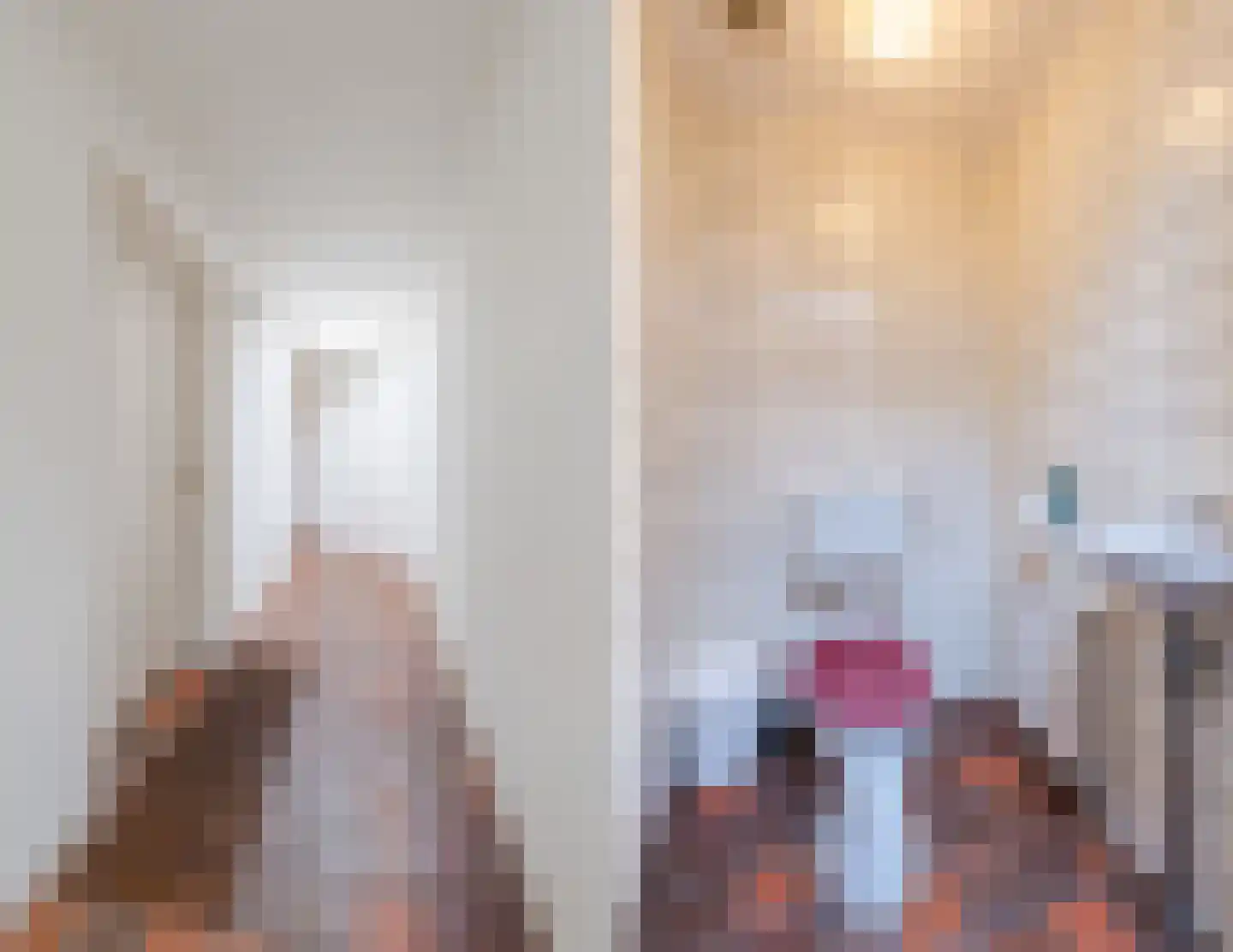 Westeinde 4 Nieuwleusen thumbnail 32