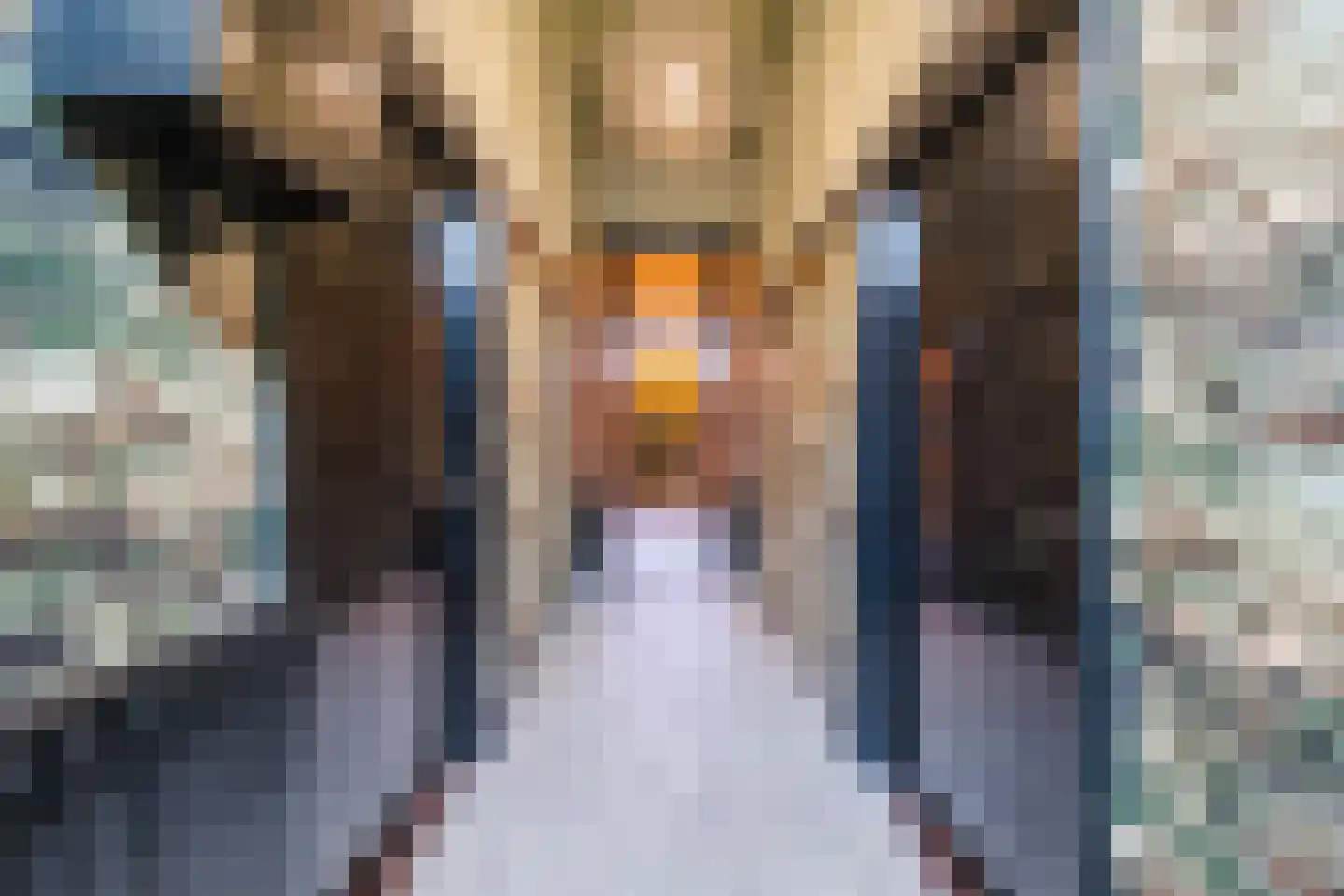 Westeinde 4 Nieuwleusen thumbnail 33