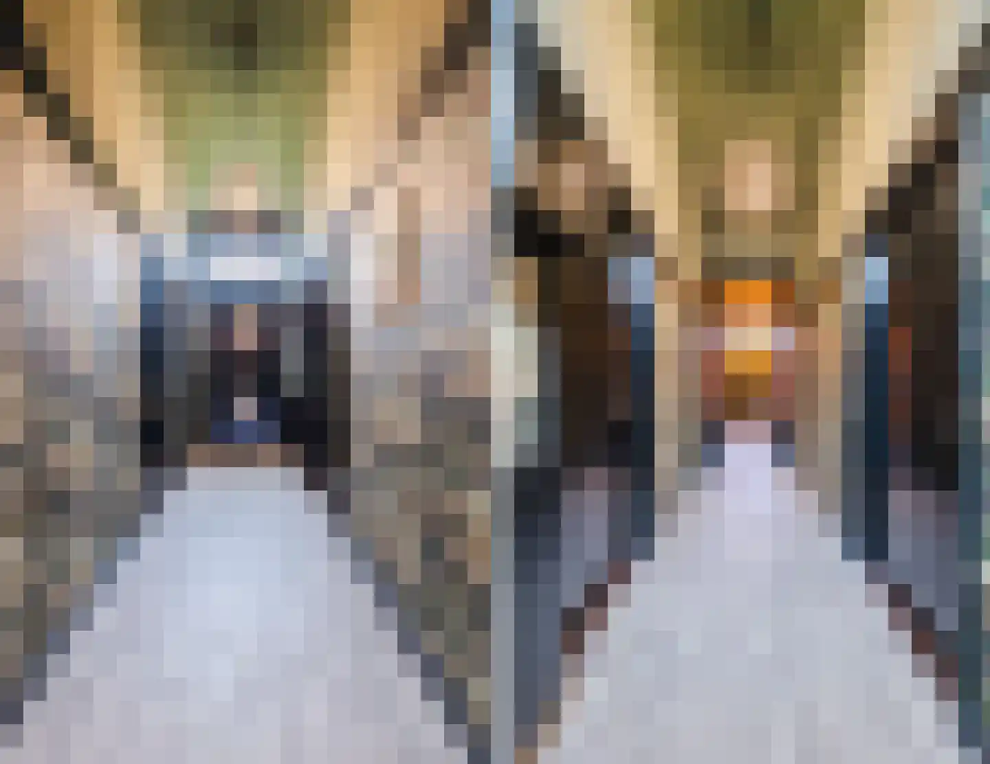 Westeinde 4 Nieuwleusen thumbnail 34