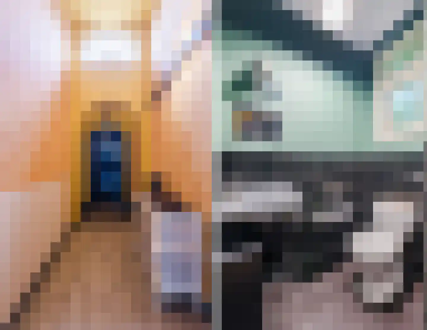 Westeinde 4 Nieuwleusen thumbnail 36