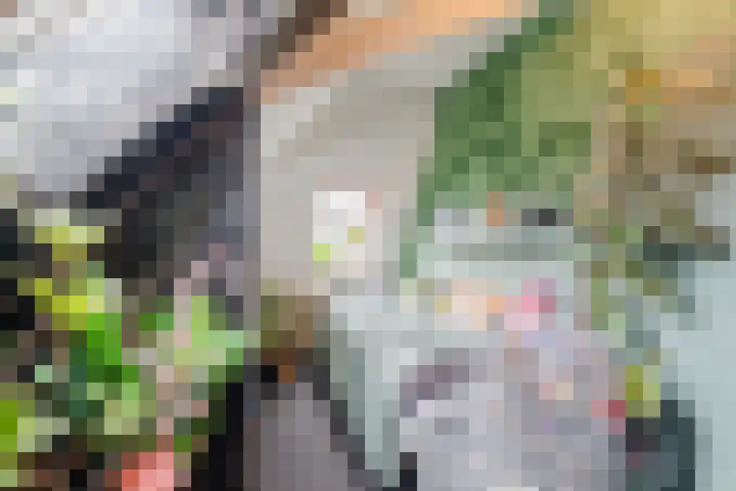 Westeinde 4 Nieuwleusen thumbnail 38