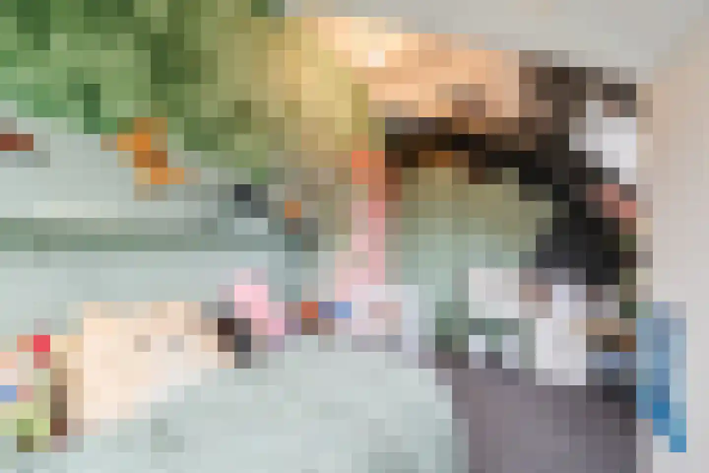 Westeinde 4 Nieuwleusen thumbnail 39