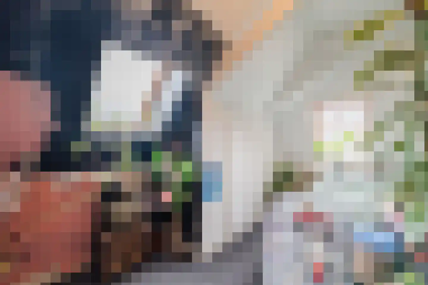 Westeinde 4 Nieuwleusen thumbnail 40