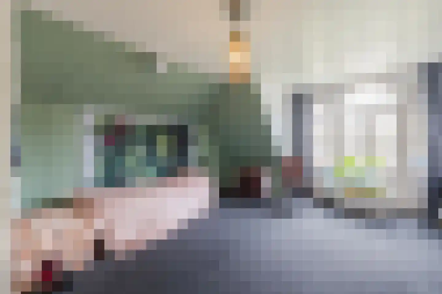 Westeinde 4 Nieuwleusen thumbnail 41