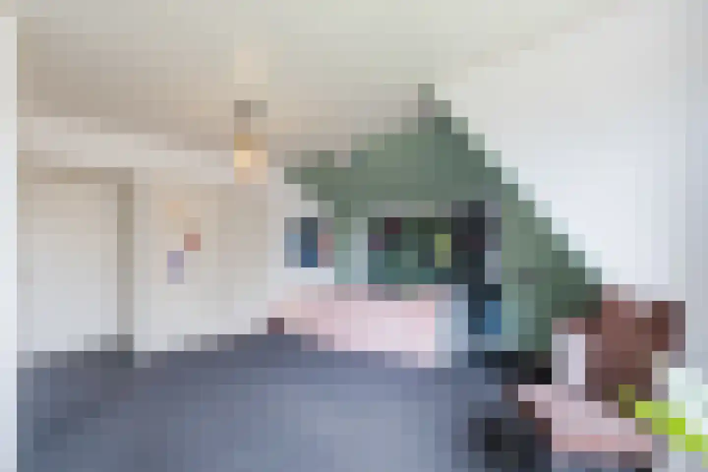 Westeinde 4 Nieuwleusen thumbnail 43