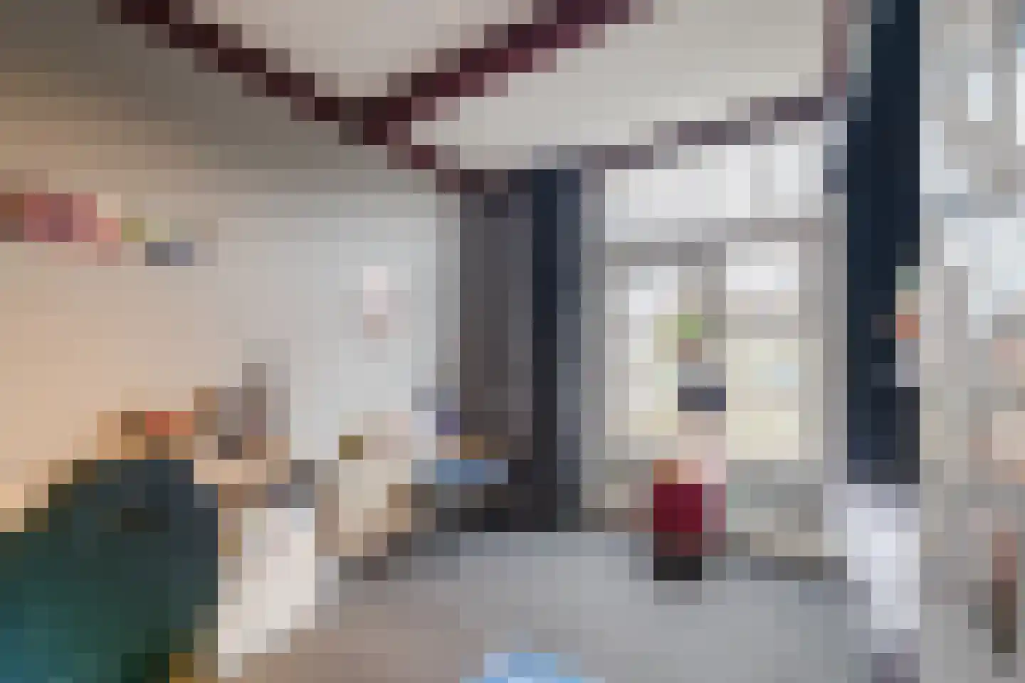 Westeinde 4 Nieuwleusen thumbnail 44
