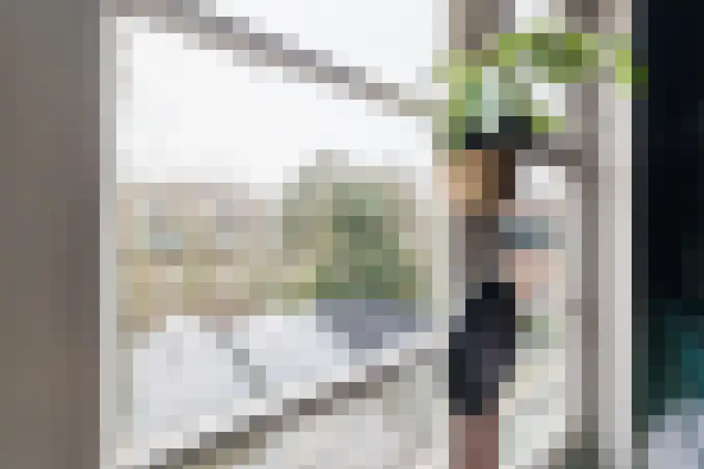 Westeinde 4 Nieuwleusen thumbnail 45