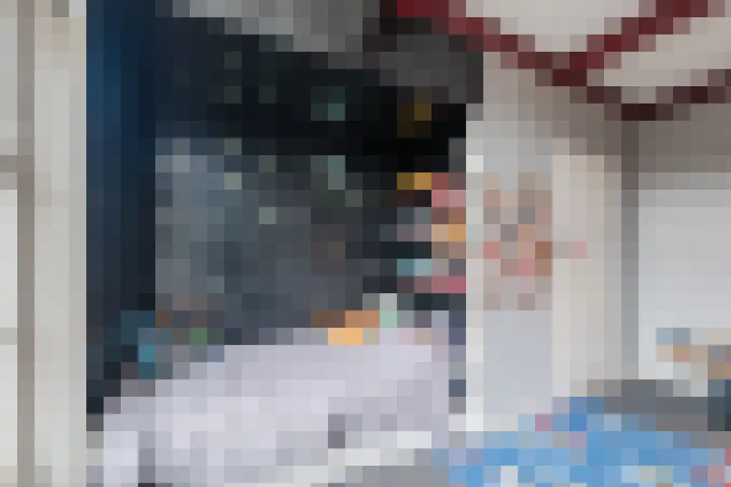 Westeinde 4 Nieuwleusen thumbnail 46