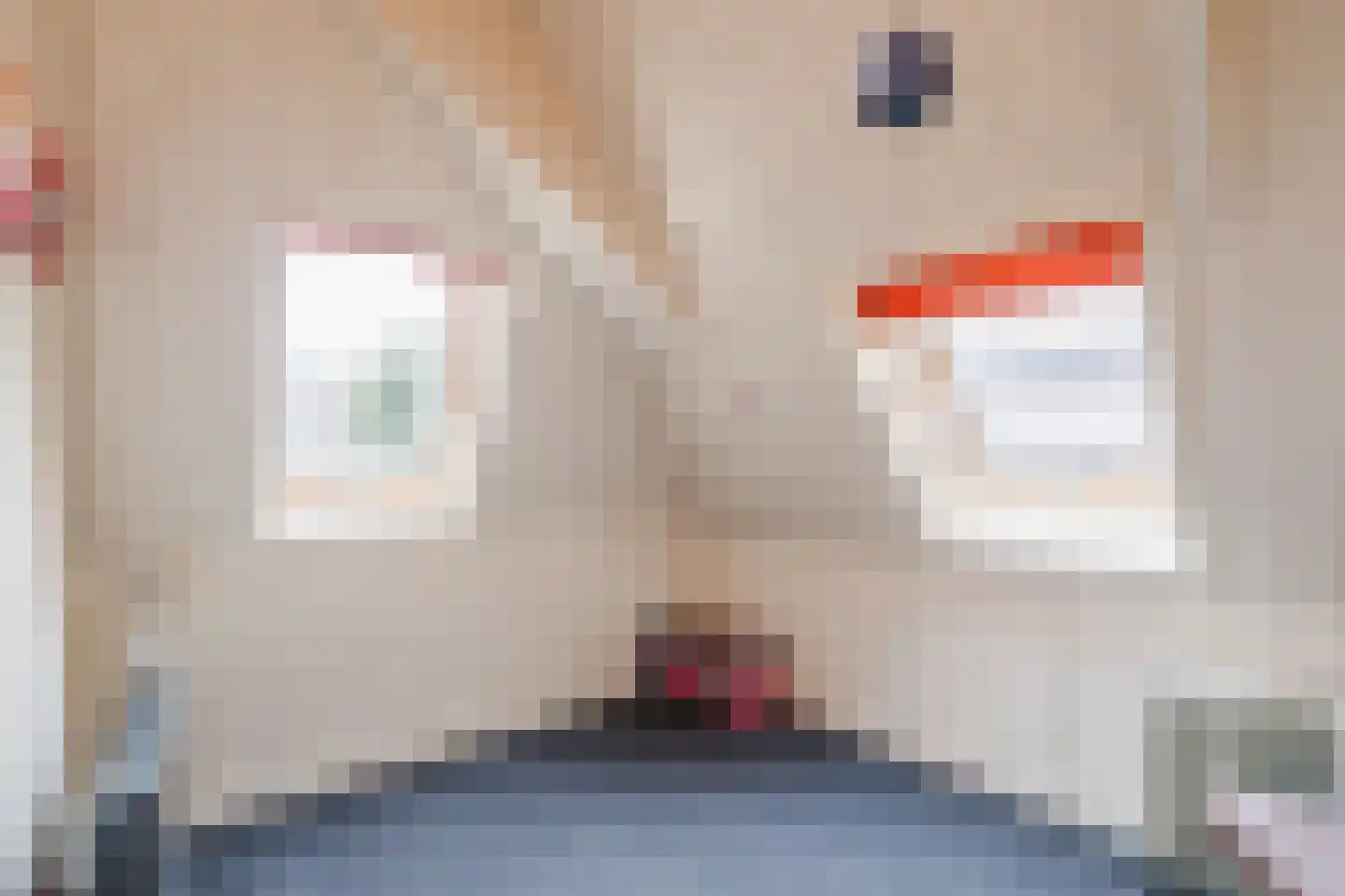 Westeinde 4 Nieuwleusen thumbnail 48