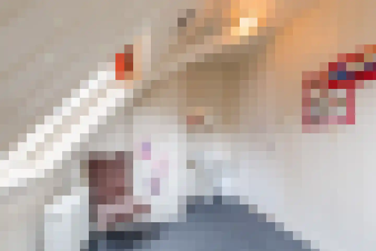 Westeinde 4 Nieuwleusen thumbnail 49