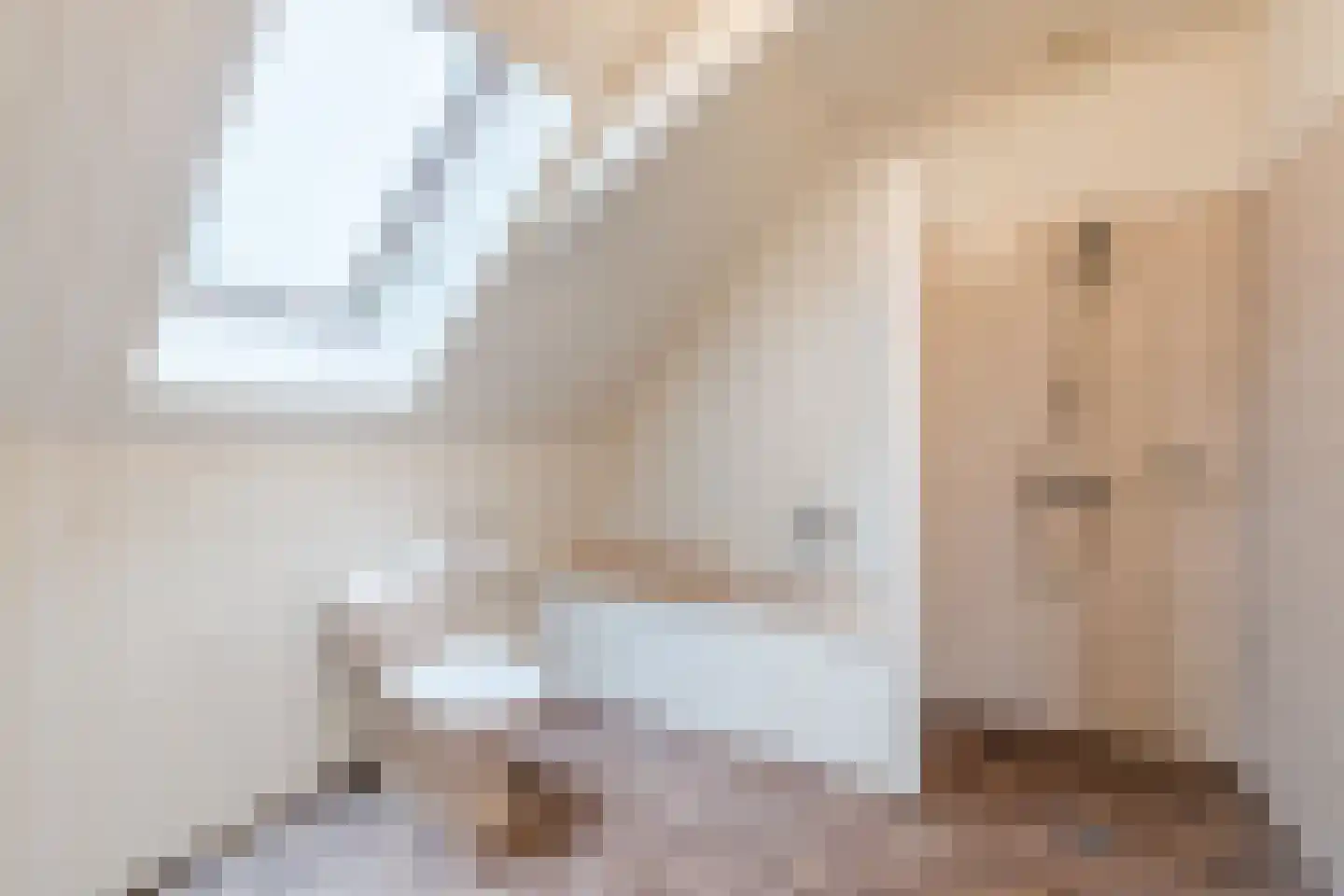 Westeinde 4 Nieuwleusen thumbnail 52