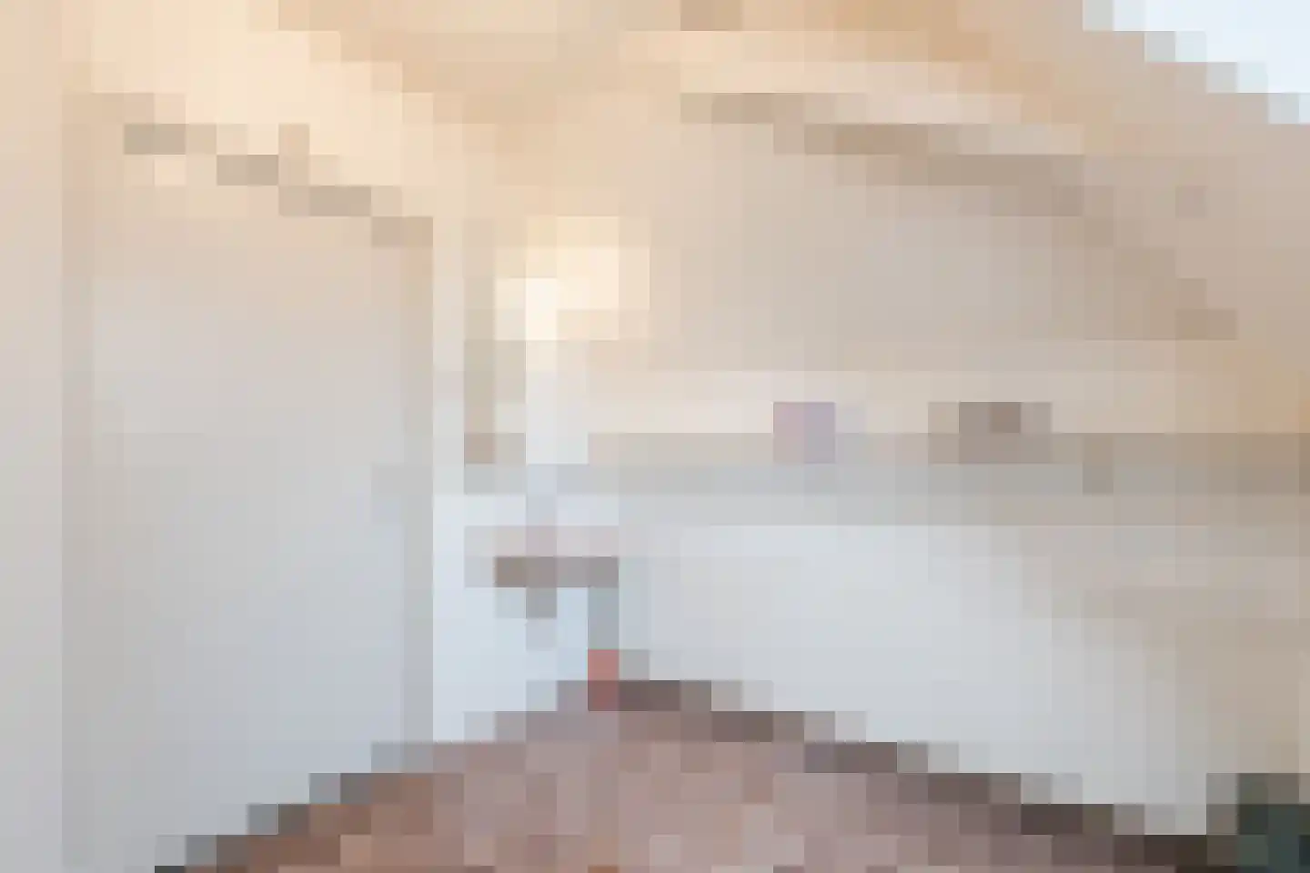 Westeinde 4 Nieuwleusen thumbnail 53