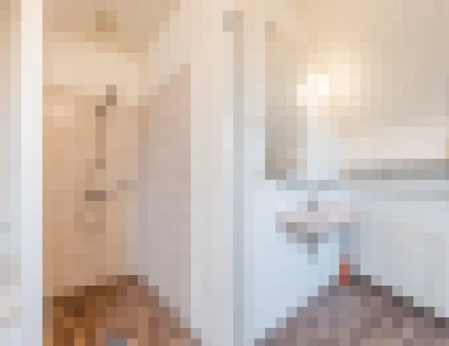 Westeinde 4 Nieuwleusen thumbnail 54