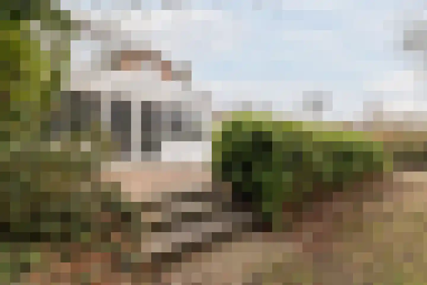 Westeinde 4 Nieuwleusen thumbnail 62