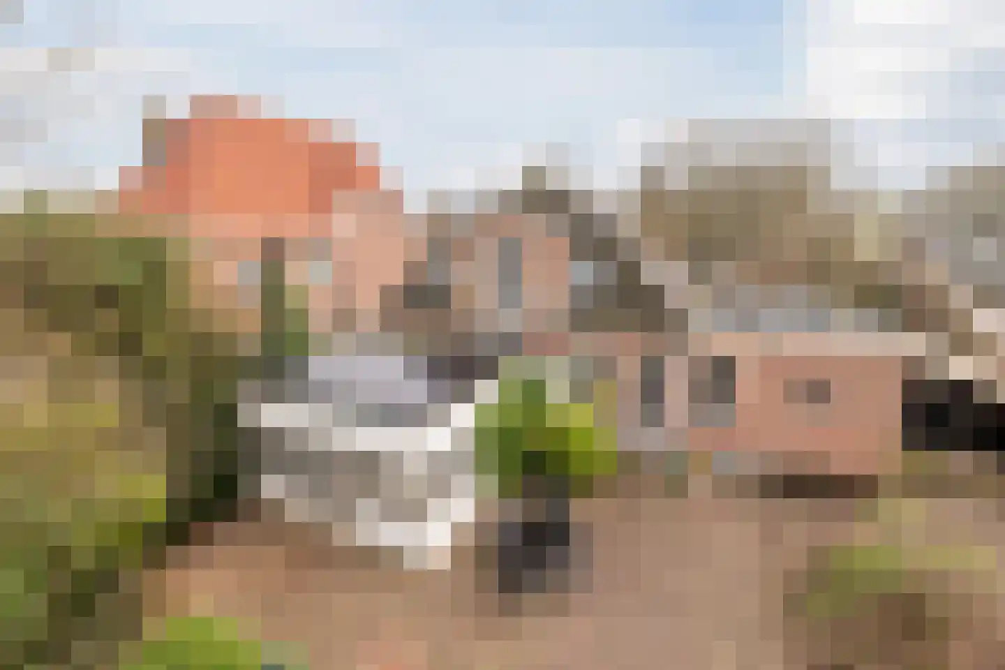 Westeinde 4 Nieuwleusen thumbnail 63