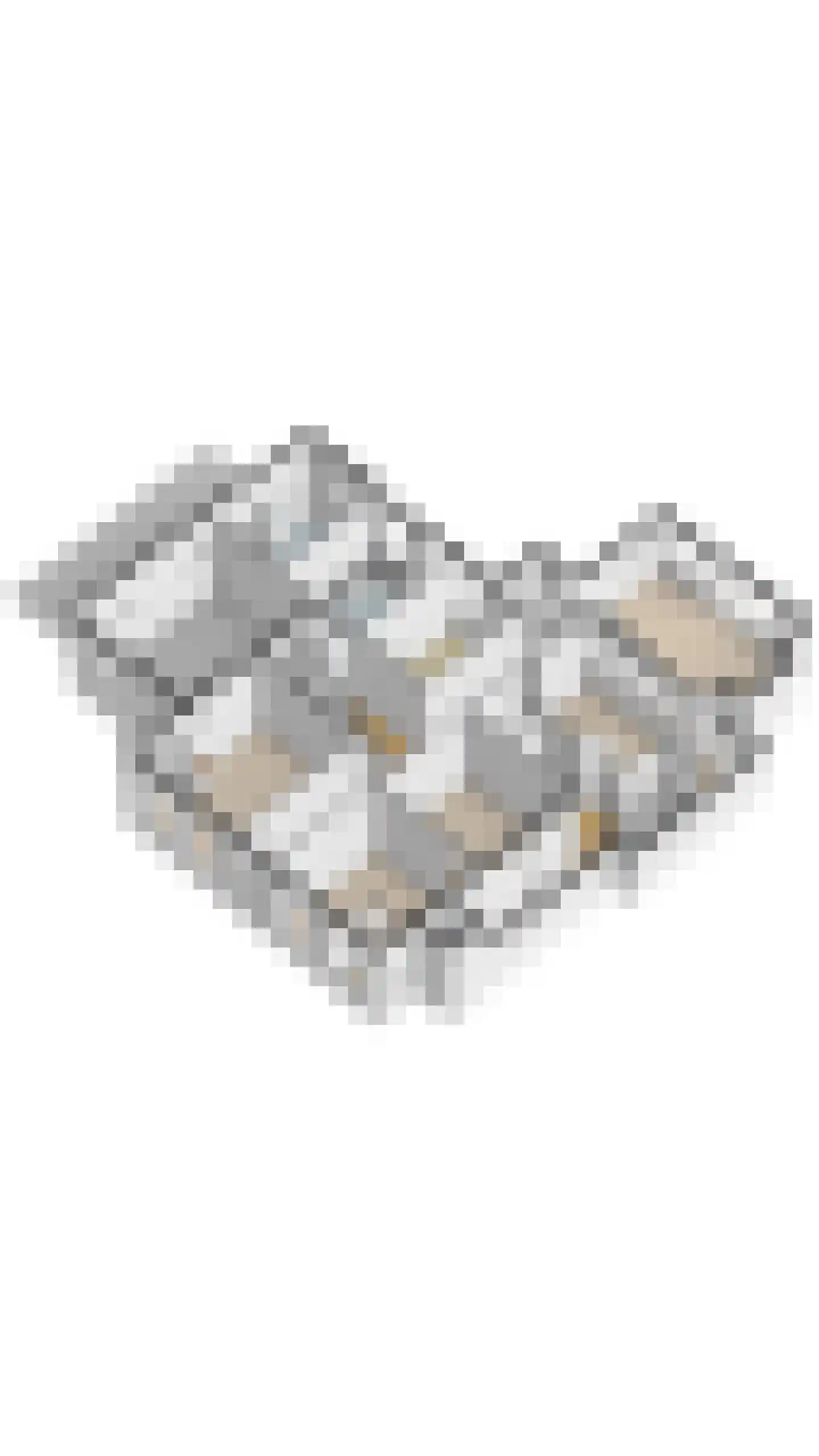 Westeinde 4 Nieuwleusen thumbnail 68