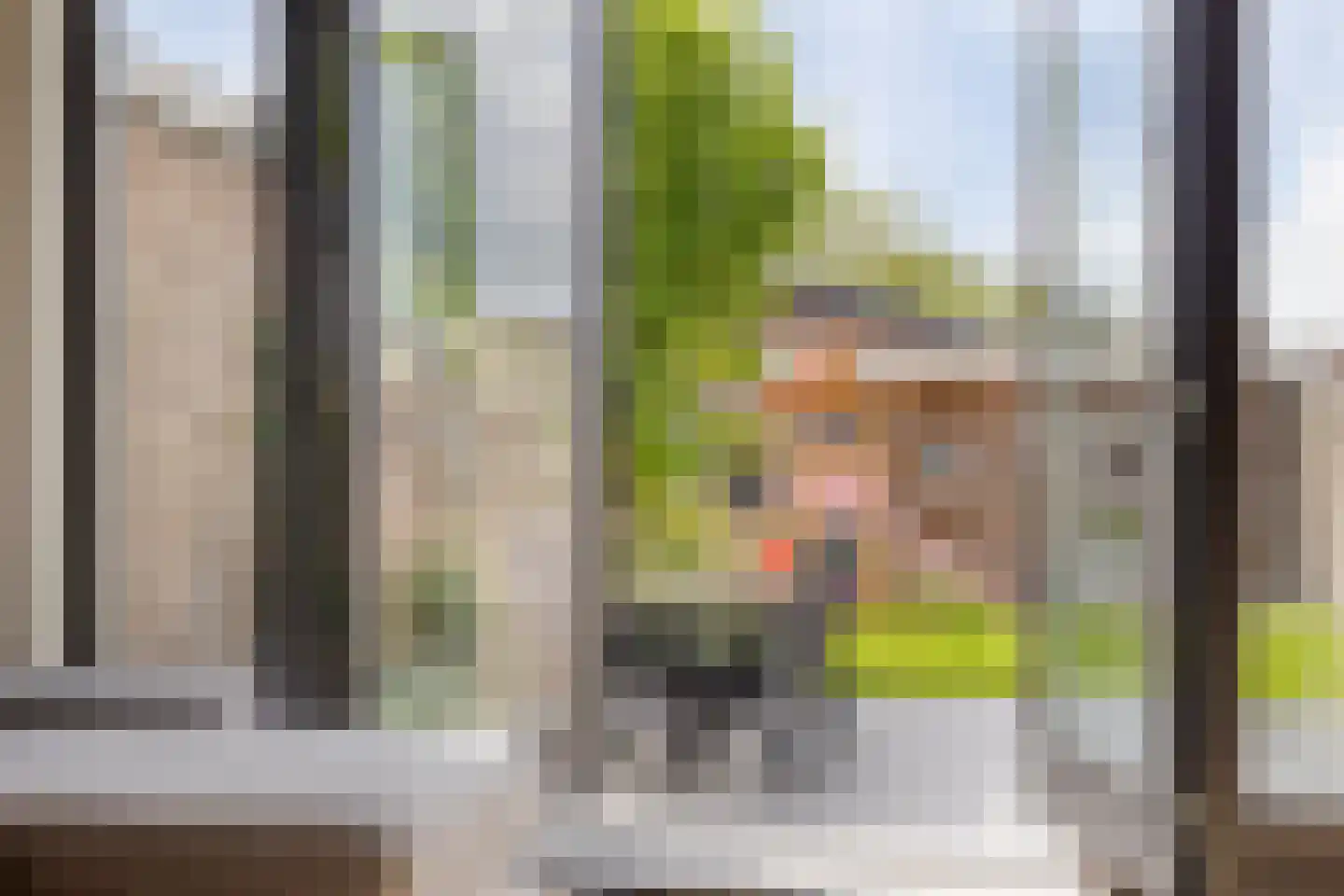 Westeinde 4 Schermerhorn thumbnail 19