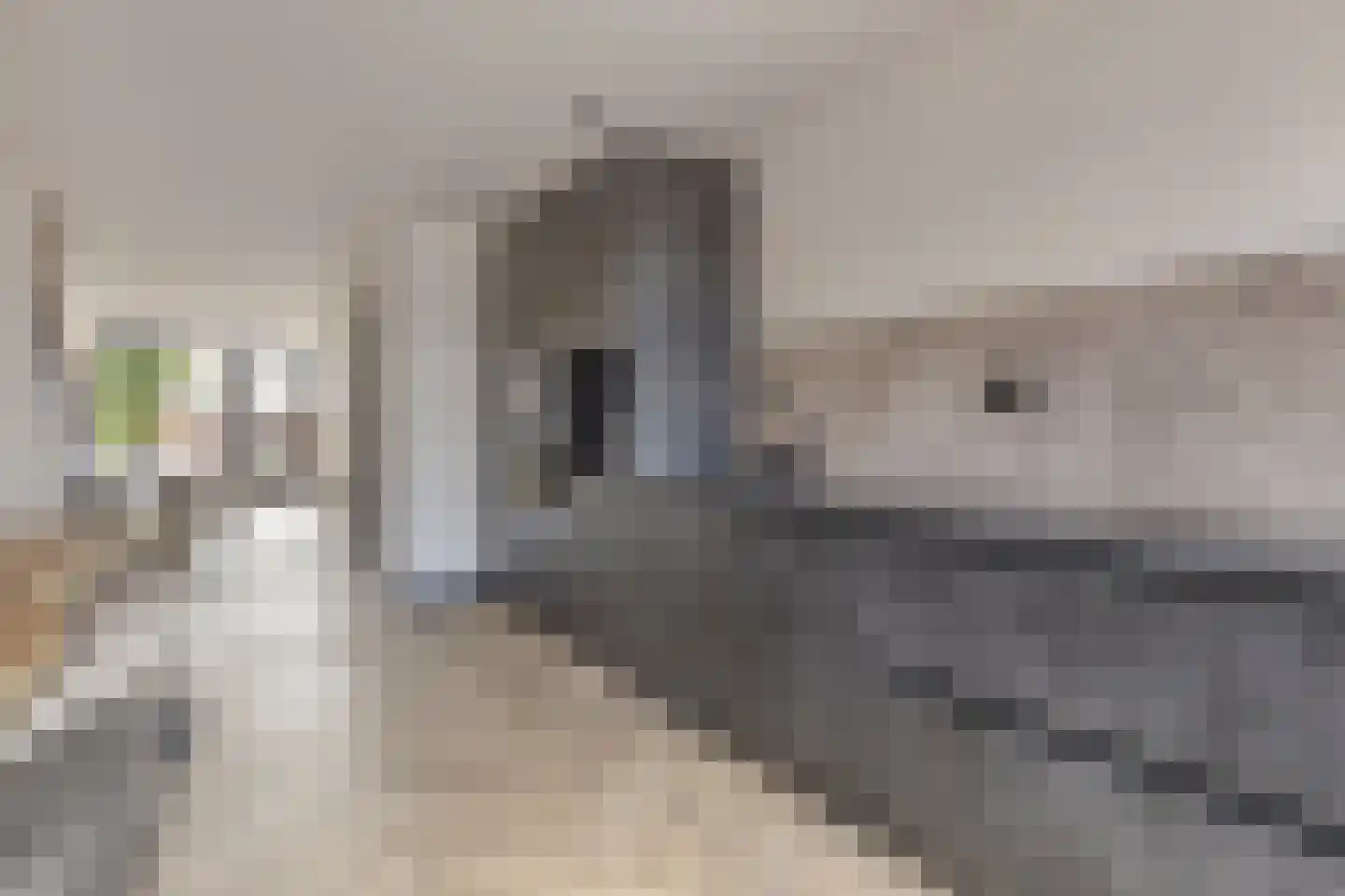 Westeinde 4 Schermerhorn thumbnail 26