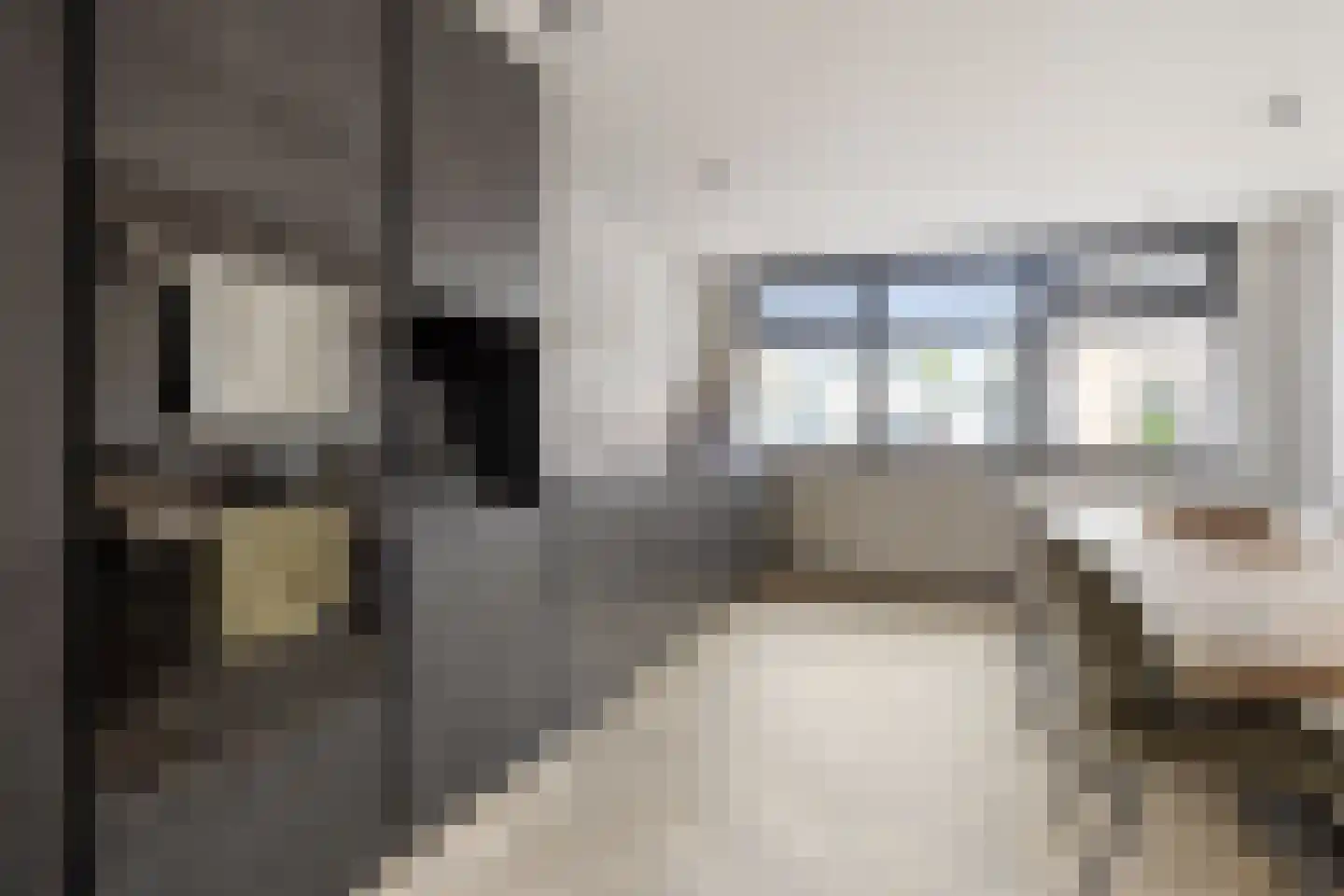 Westeinde 4 Schermerhorn thumbnail 27
