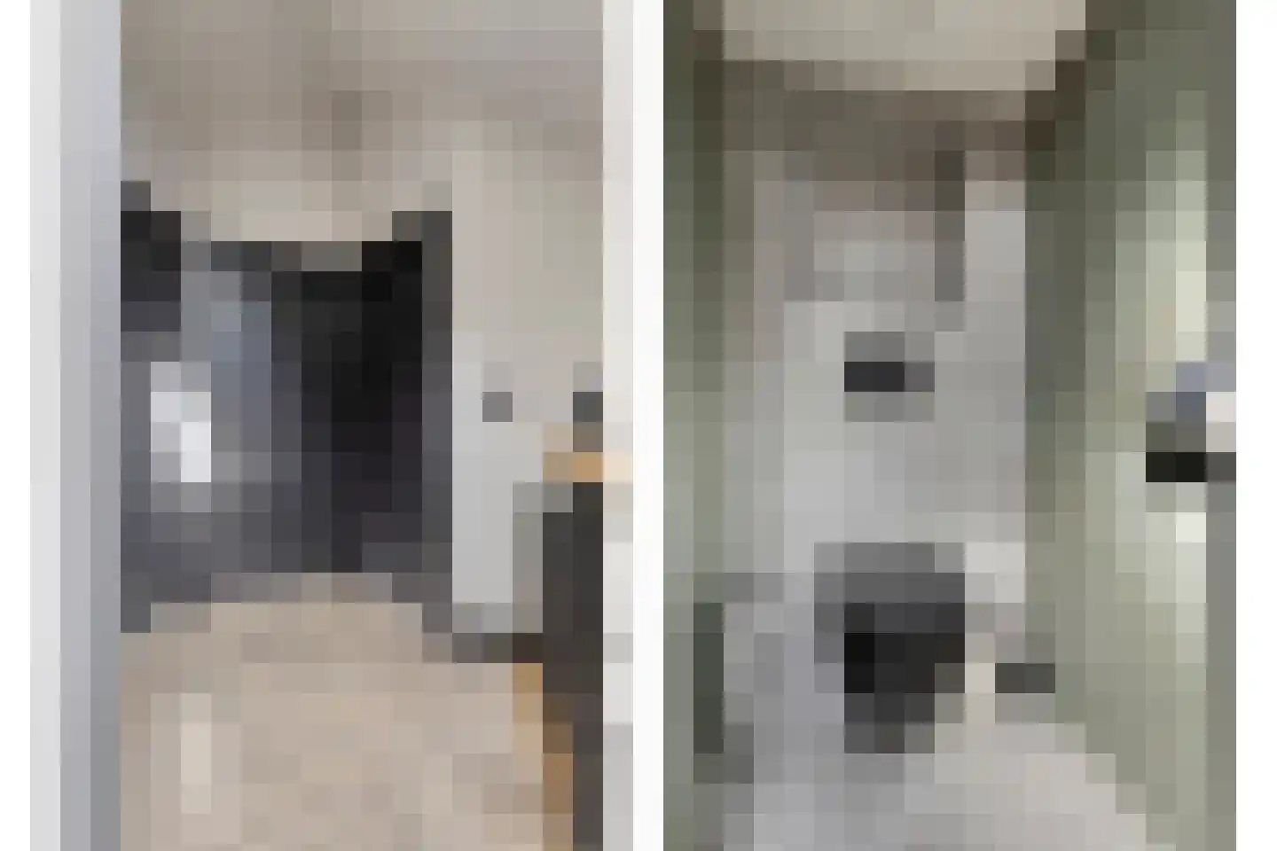 Westeinde 4 Schermerhorn thumbnail 30