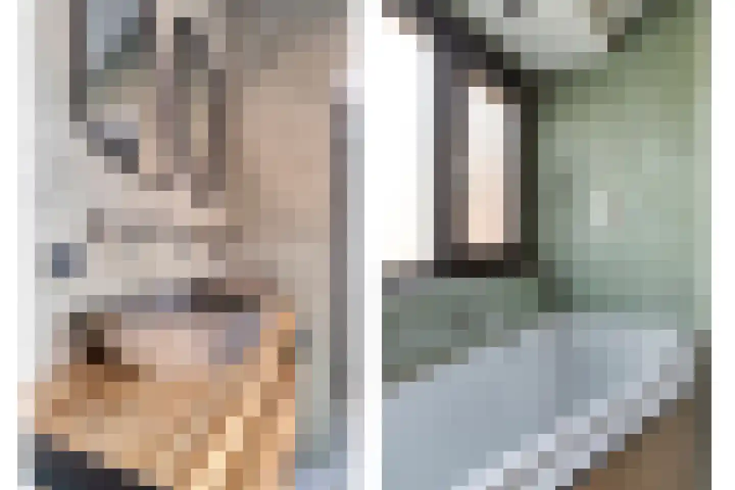 Westeinde 4 Schermerhorn thumbnail 37