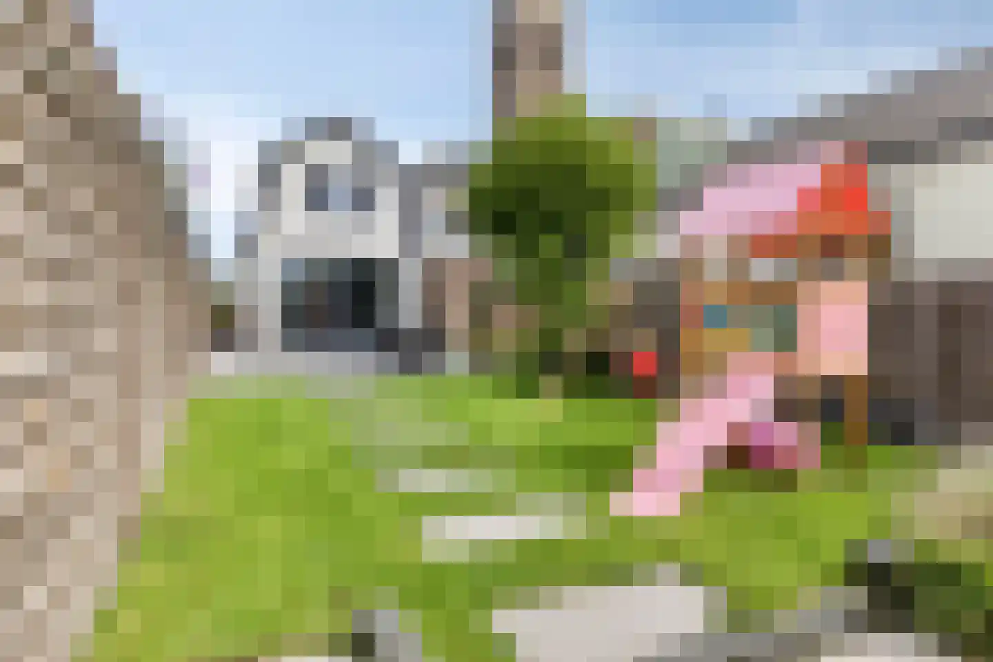 Westeinde 4 Schermerhorn thumbnail 45