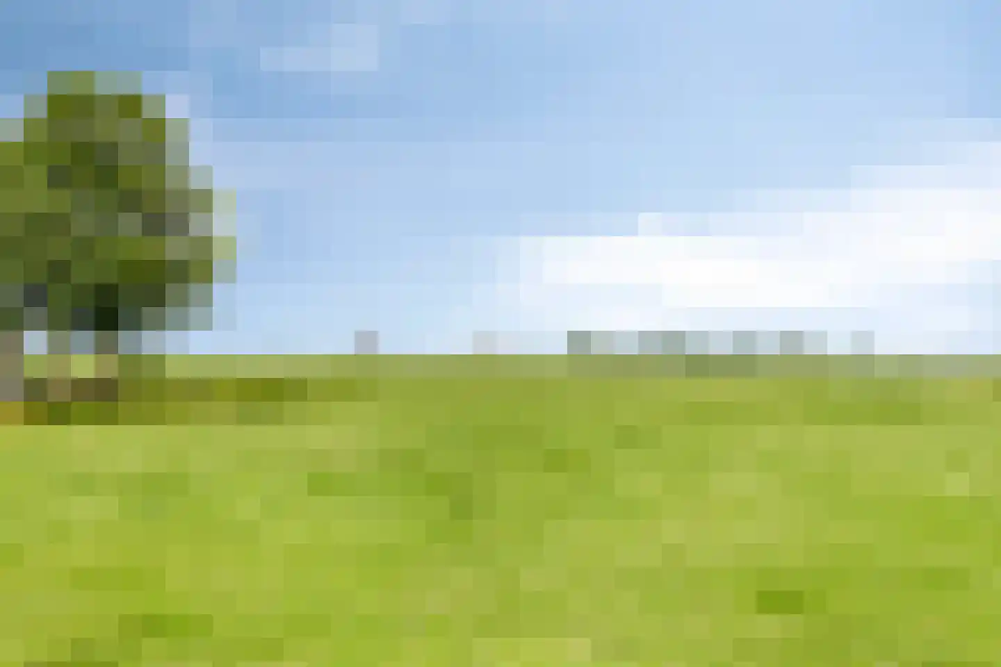 Westeinde 4 Schermerhorn thumbnail 53