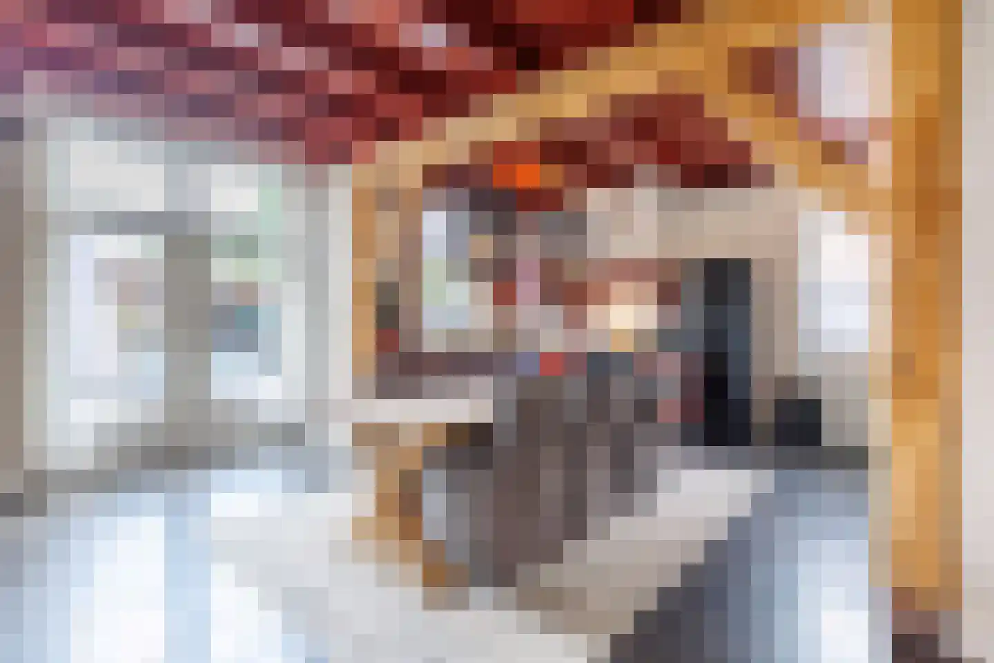 Westeinde 403 Vriezenveen thumbnail 16