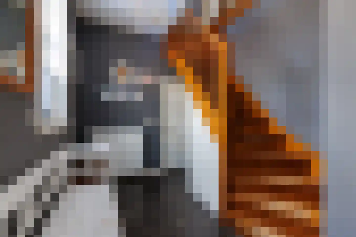 Westeinde 403 Vriezenveen thumbnail 4