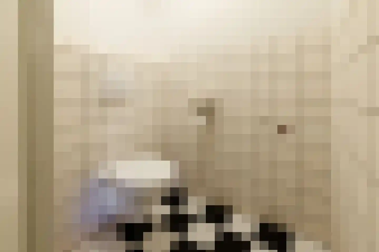 Westeinde 403 Vriezenveen thumbnail 41