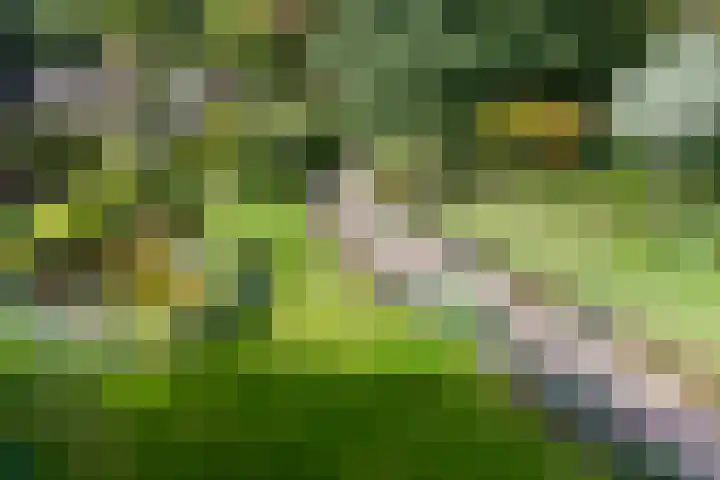 Westeinde 41 Oosthuizen thumbnail 4