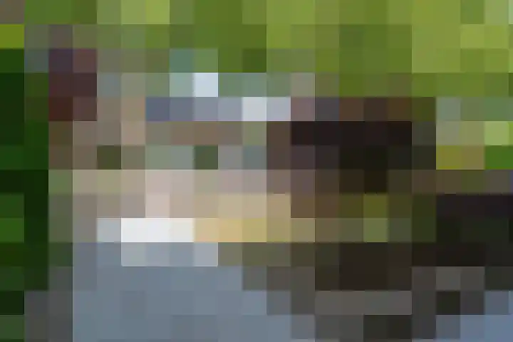 Westeinde 44 Zevenaar thumbnail 8