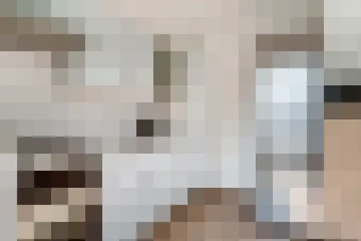 Westeinde 44 Zevenaar foto 3