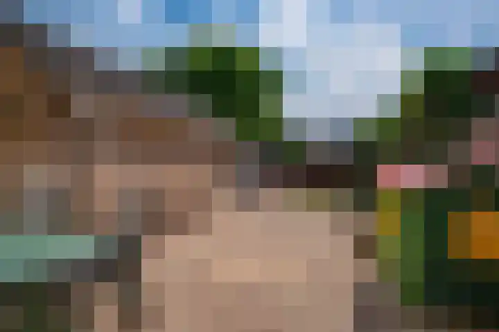 Westeinde 44 Zevenaar thumbnail 28