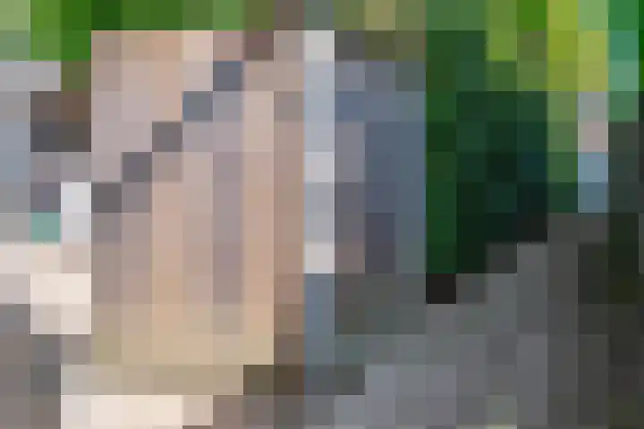 Westeinde 44 Zevenaar thumbnail 34