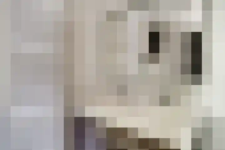 Westeinde 44 Zevenaar thumbnail 40