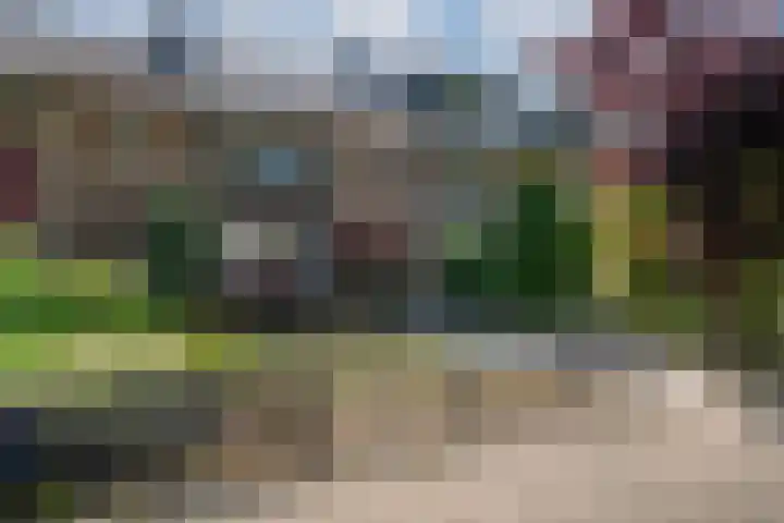 Westeinde 44 Zevenaar thumbnail 69