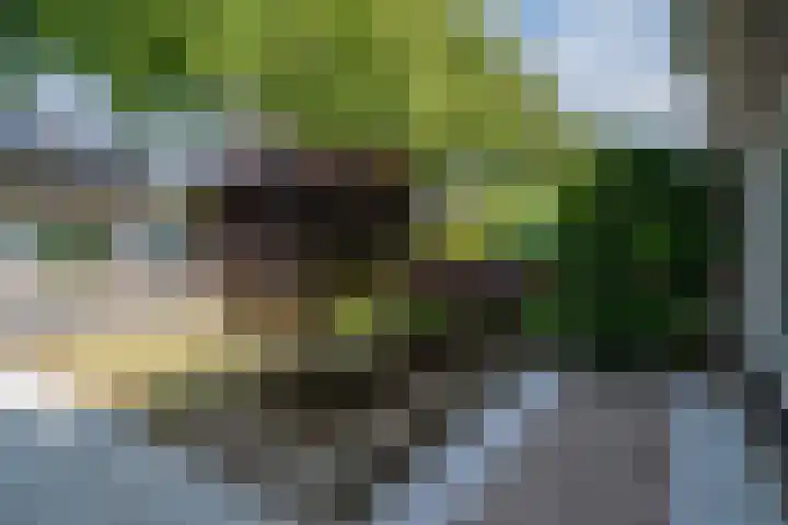Westeinde 44 Zevenaar thumbnail 9