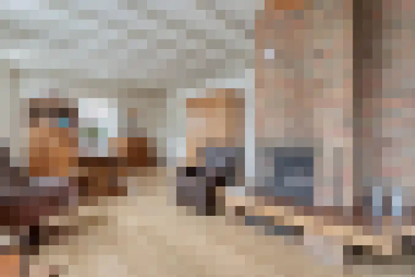 Westeinde 444 Vriezenveen thumbnail 11